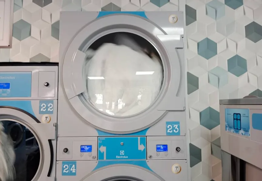 Laverie Revolution Laundry - photo 1