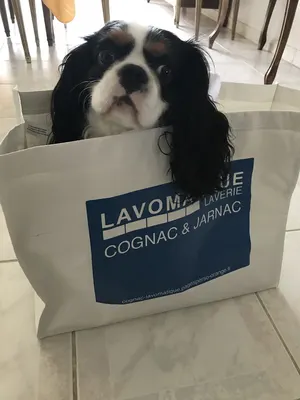LAVERIE COGNAC LAVOMATIQUE