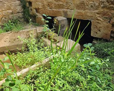 Laverie Chez Monsieur Propre