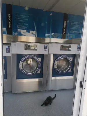 Electrolux Laverie