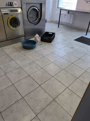 Laverie Linge